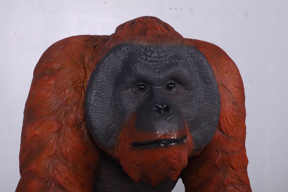 Male Orangutan Walking - Image 2