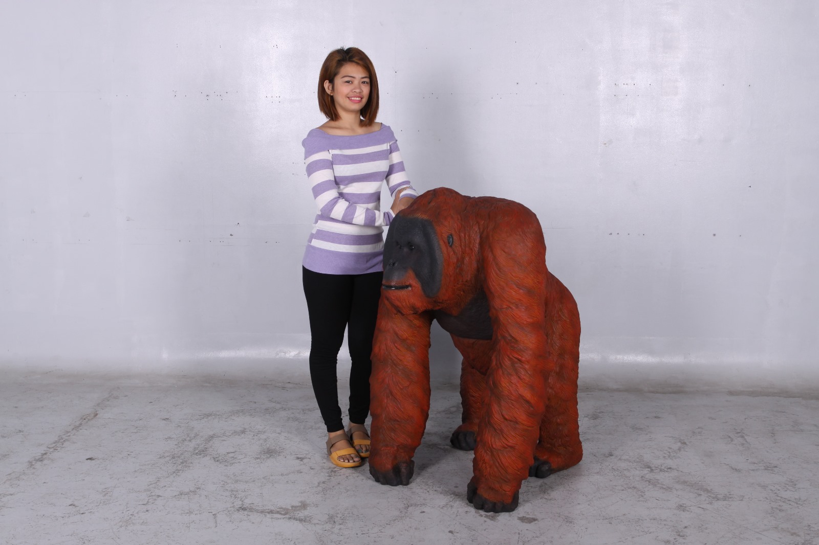 Natureworks Australia Male Orangutan Walking - Image 8