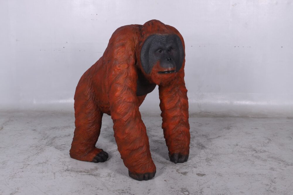 Male Orangutan Walking - Image 3