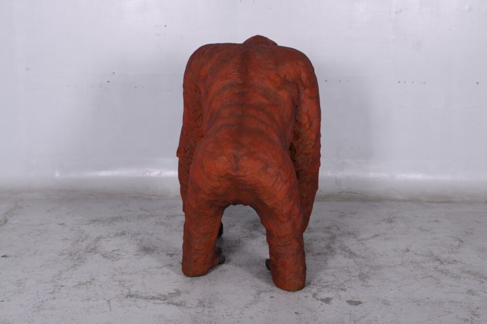 Male Orangutan Walking - Image 6