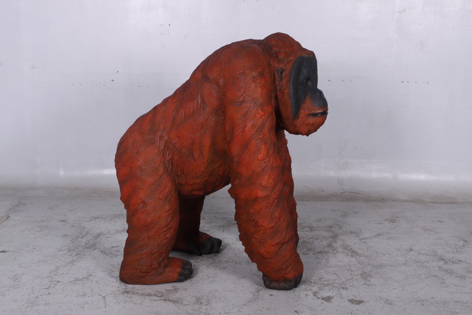 Natureworks Australia Male Orangutan Walking - Image 4