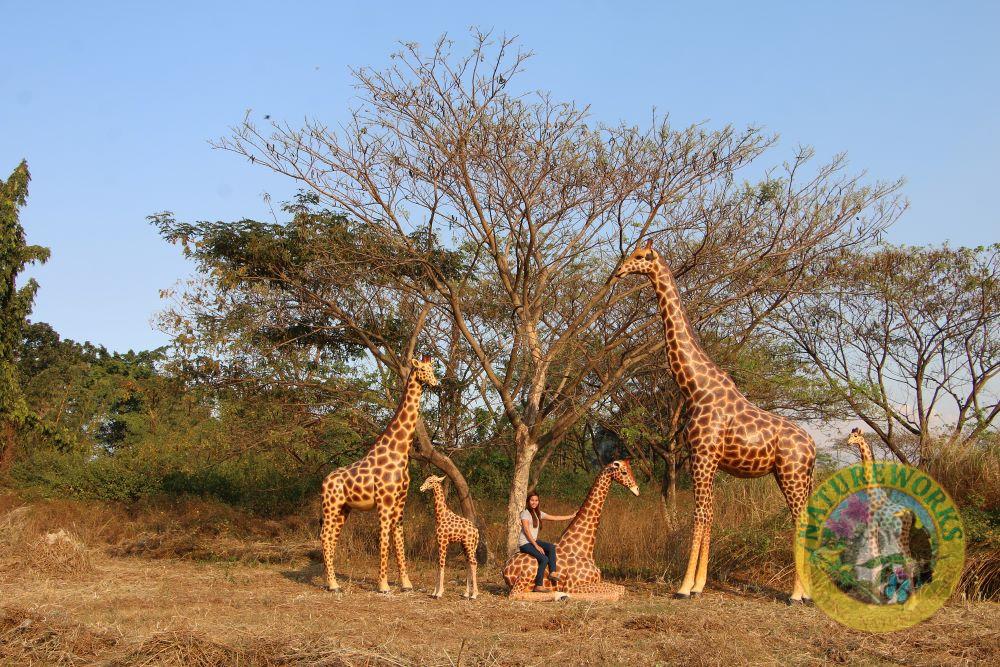Natureworks Australia Giraffe Sitting - Image 6