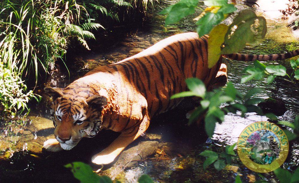 Bengal Tiger Sculpture in the wild
