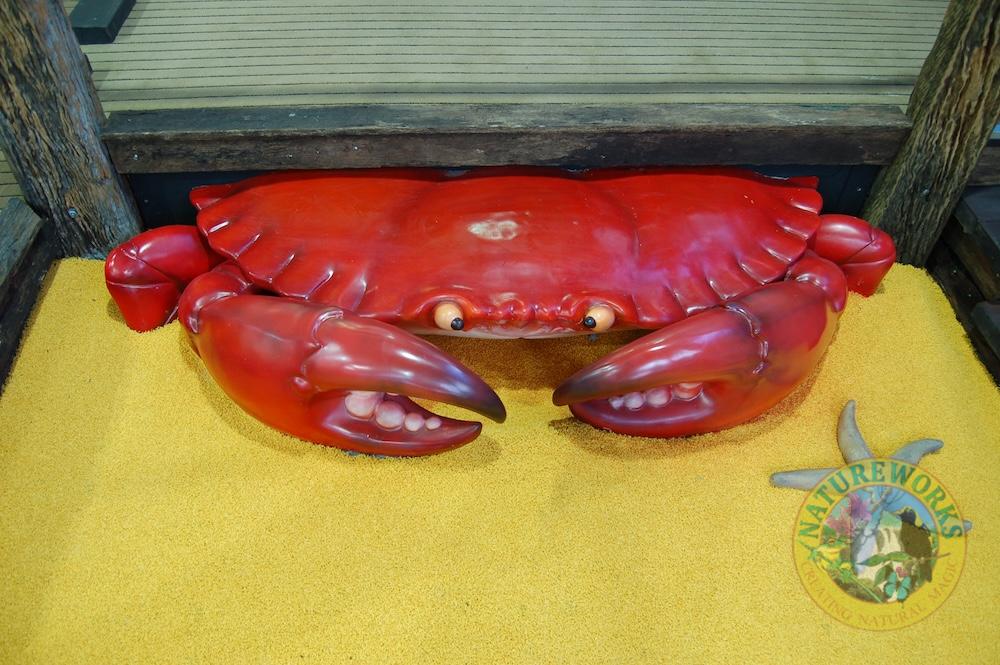 Natureworks Australia Crab at Undersea mini golf