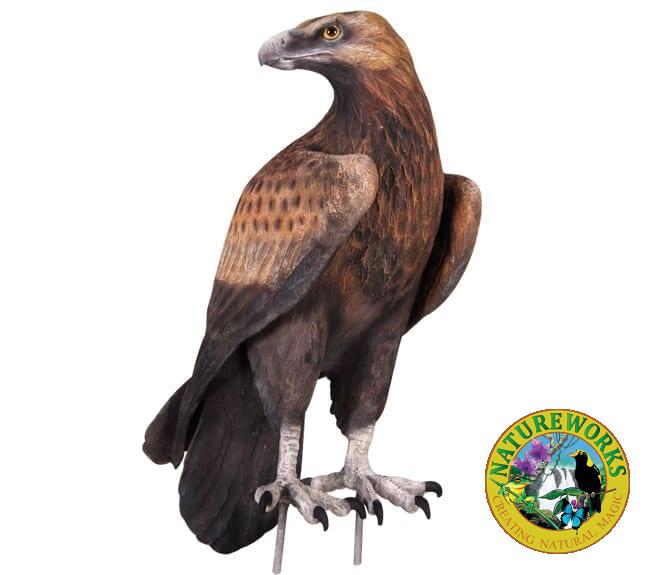 wedge tailed eagle statue