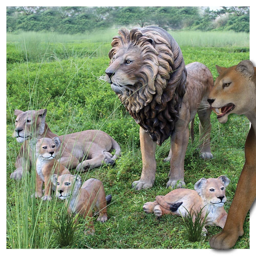 Natureworks Australia Lions with cubs