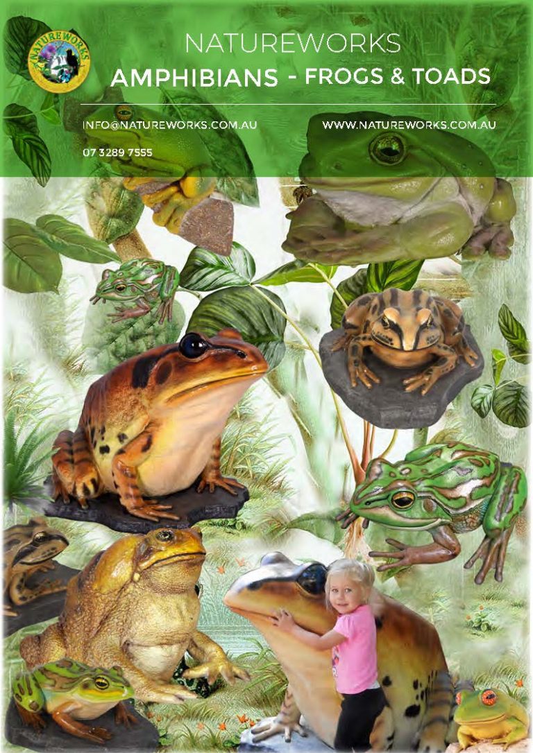 Amphibian Sculptures - Frogs & Toads - life-size and larger than life-size