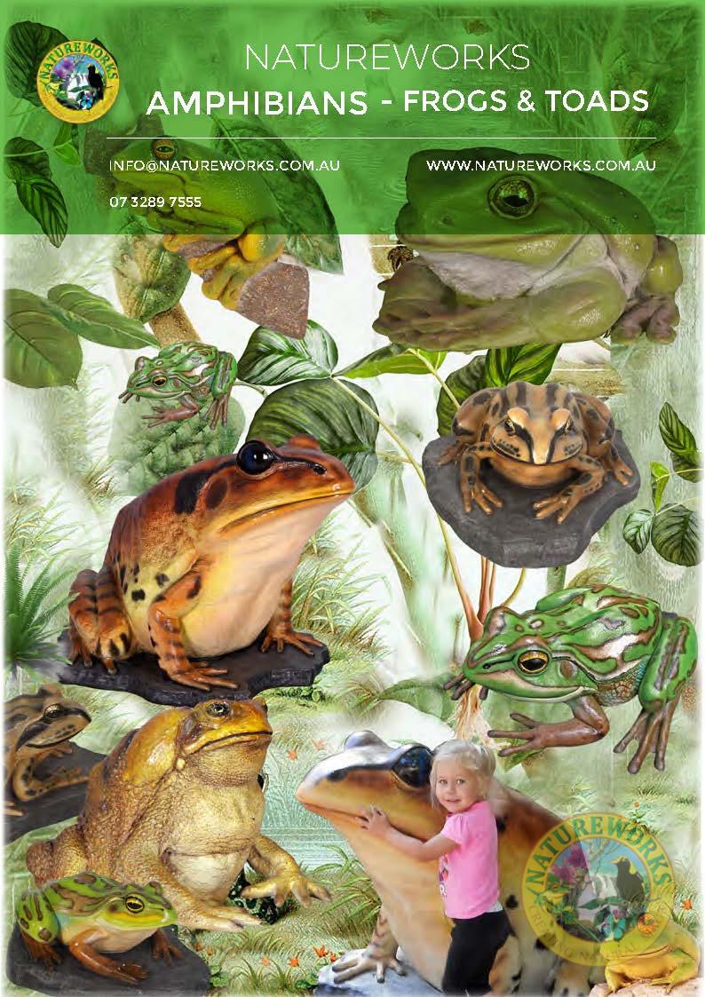 Amphibian Sculptures - Frogs & Toads - life-size and larger than life-size