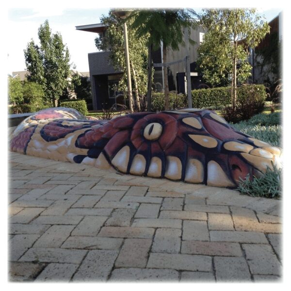 Snakes Custom Projects