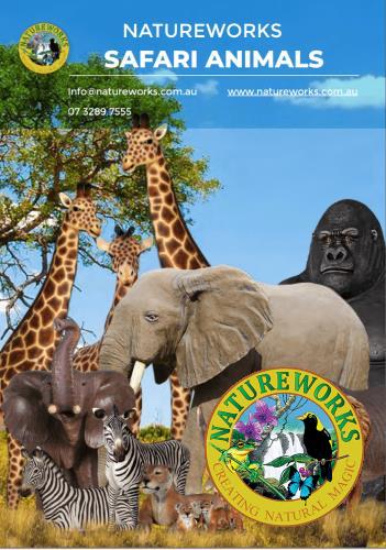 Safari Animal Catalogue