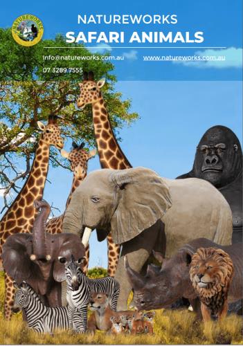 Safari Animal Catalogue
