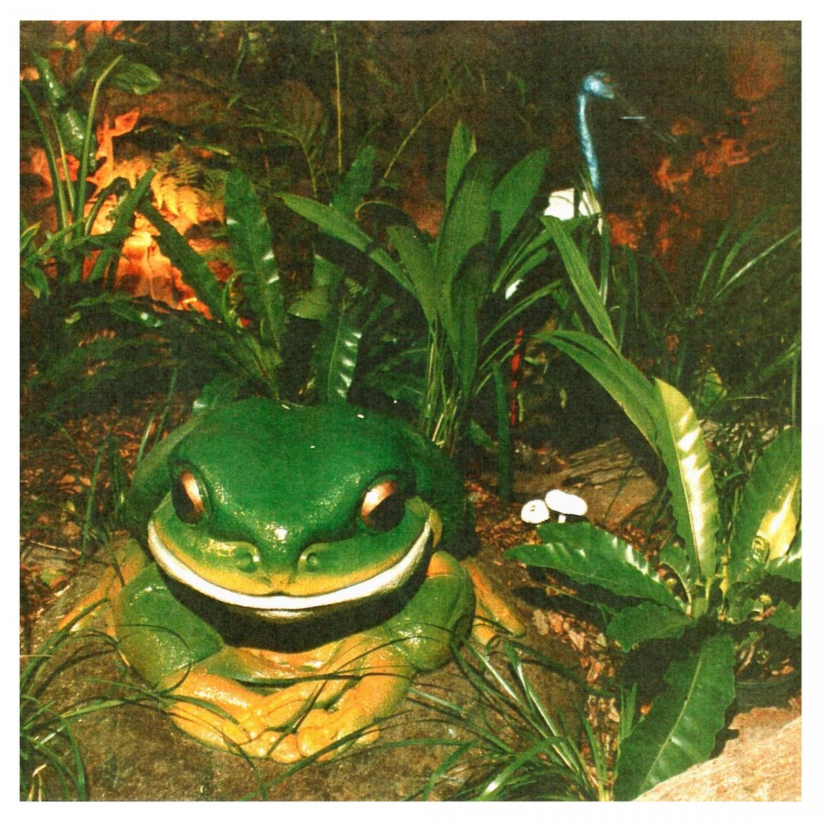 Natureworks Australia GreenTreeFrog Giant