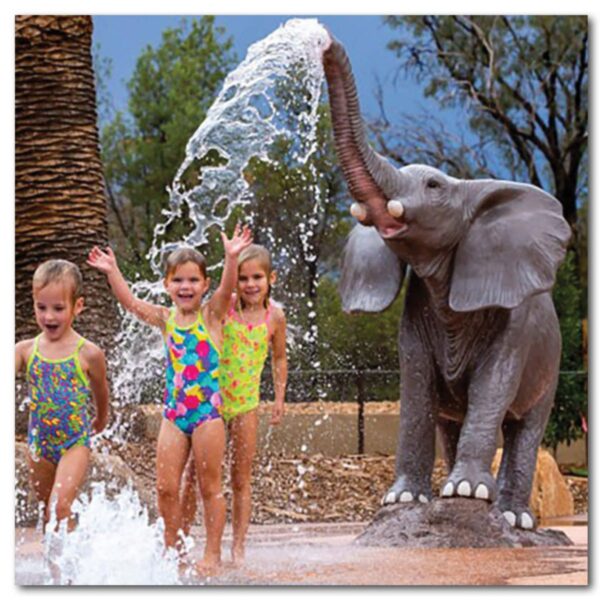 Animals Mammals safari animals Elephants African  m trunck up with water spout Product Image Va px px