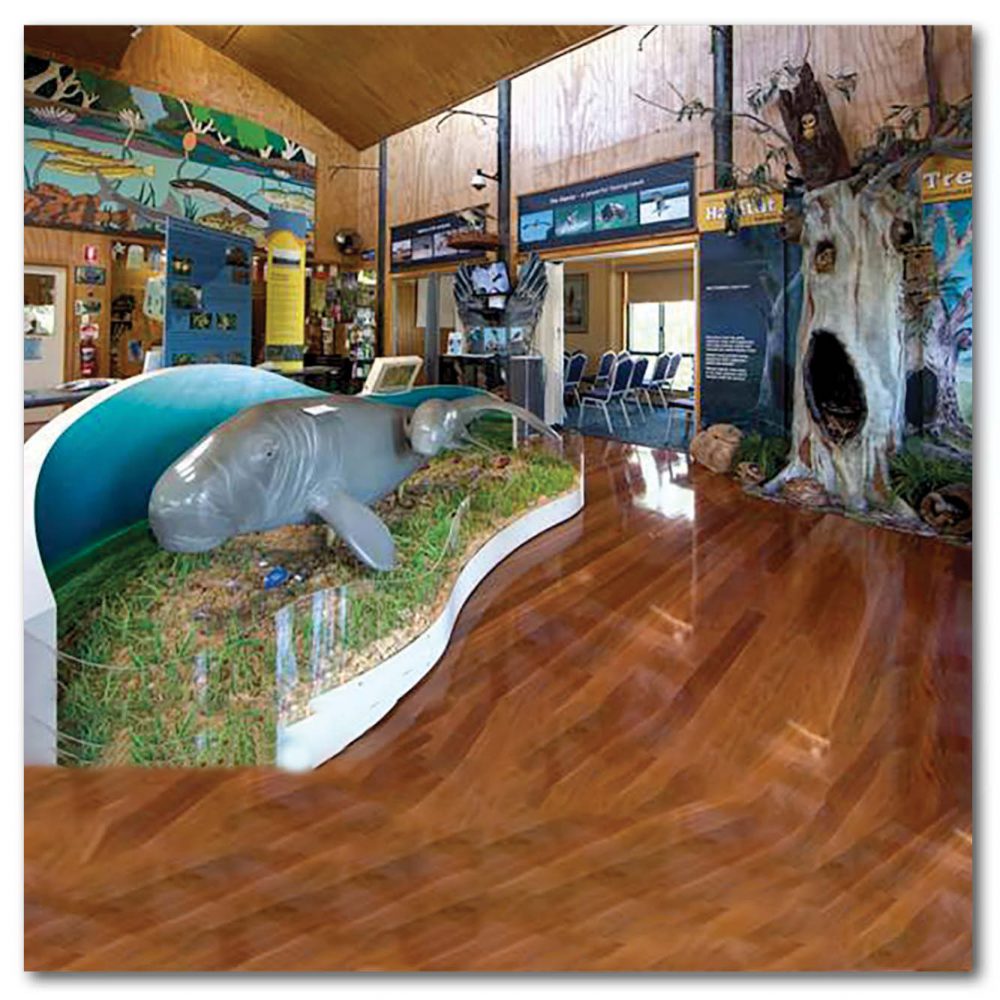 Animals Marine Life Marine Mammals Dugong Osprey House Display Product Image V px px