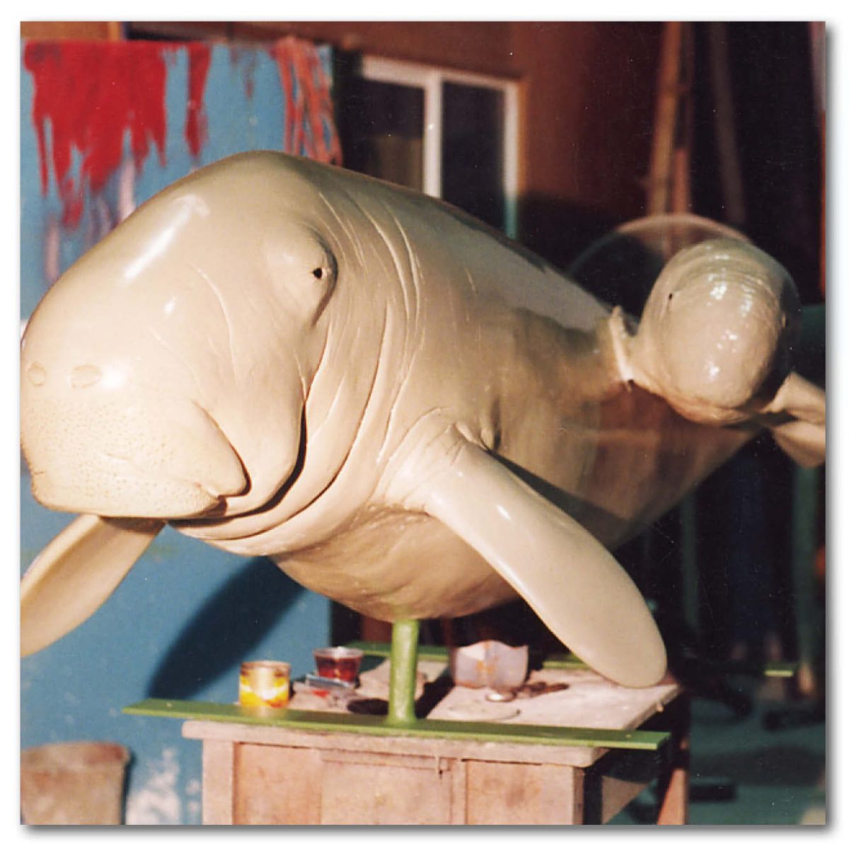 Natureworks Australia Animals Marine Life Marine Mammals Dugong Osprey House Display Product Image V px px