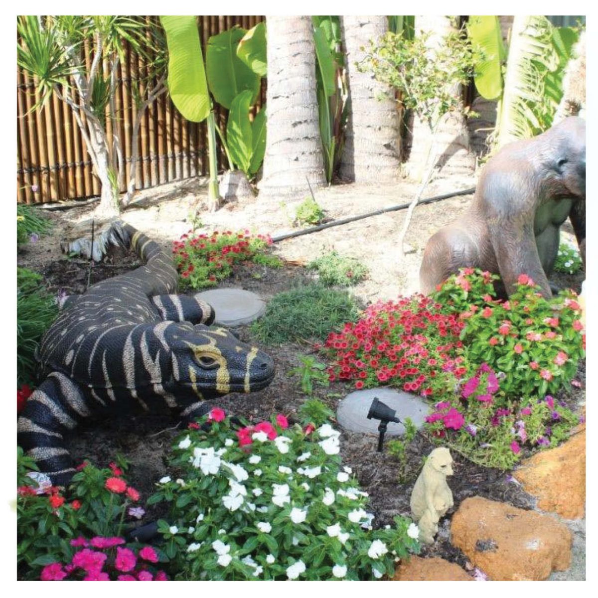 Natureworks Australia Animals Reptiles Lizards Komodo Dragon Bells Monitor finish Product Image V px px