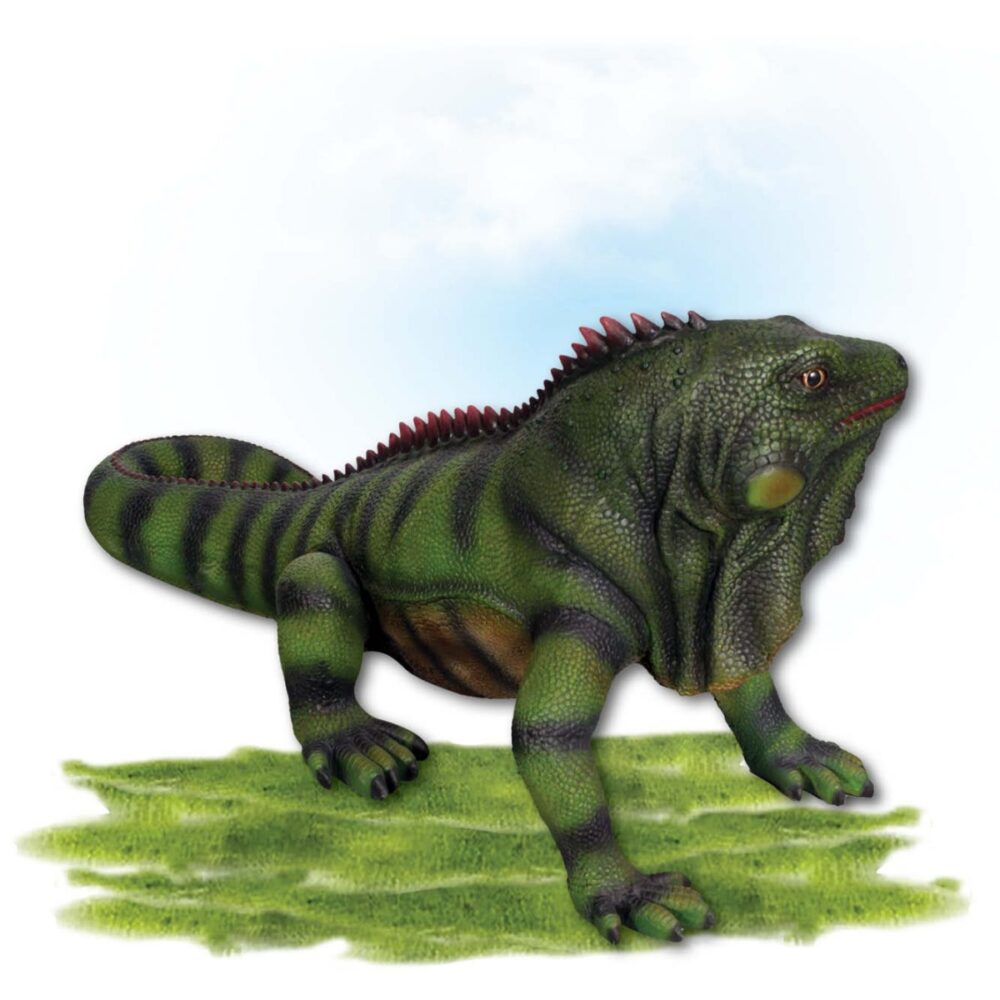 Animals Reptiles Lizards Iguana Large Product Image V px px