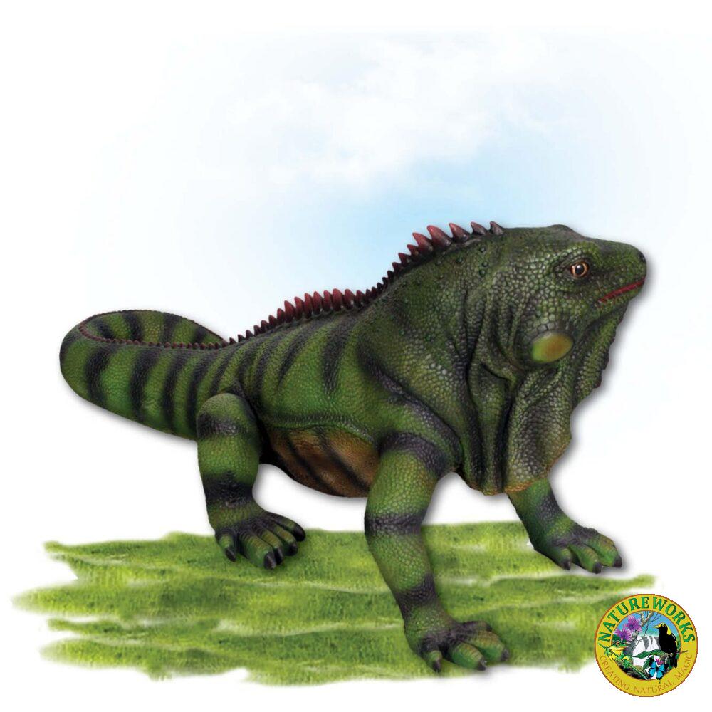 Animals Reptiles Lizards Iguana Large Product Image V px px