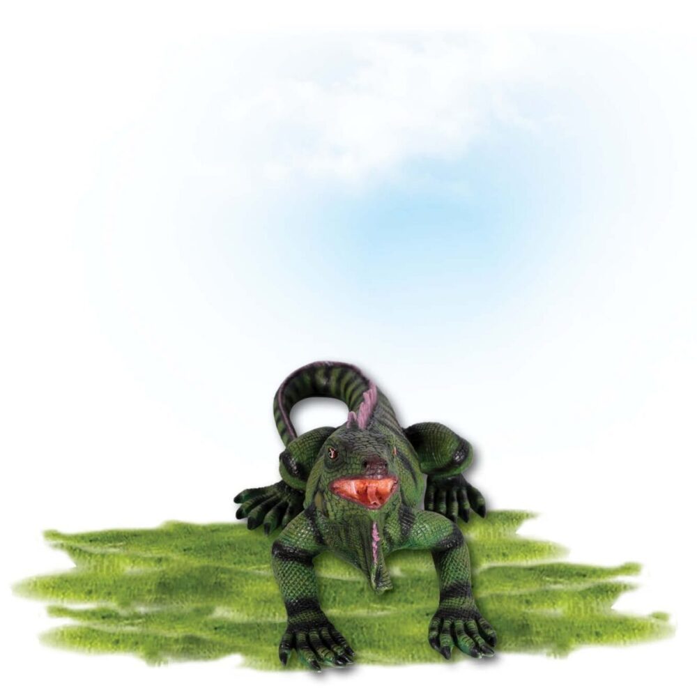 Animals Reptiles Lizards Iguana Small Product Image V px px