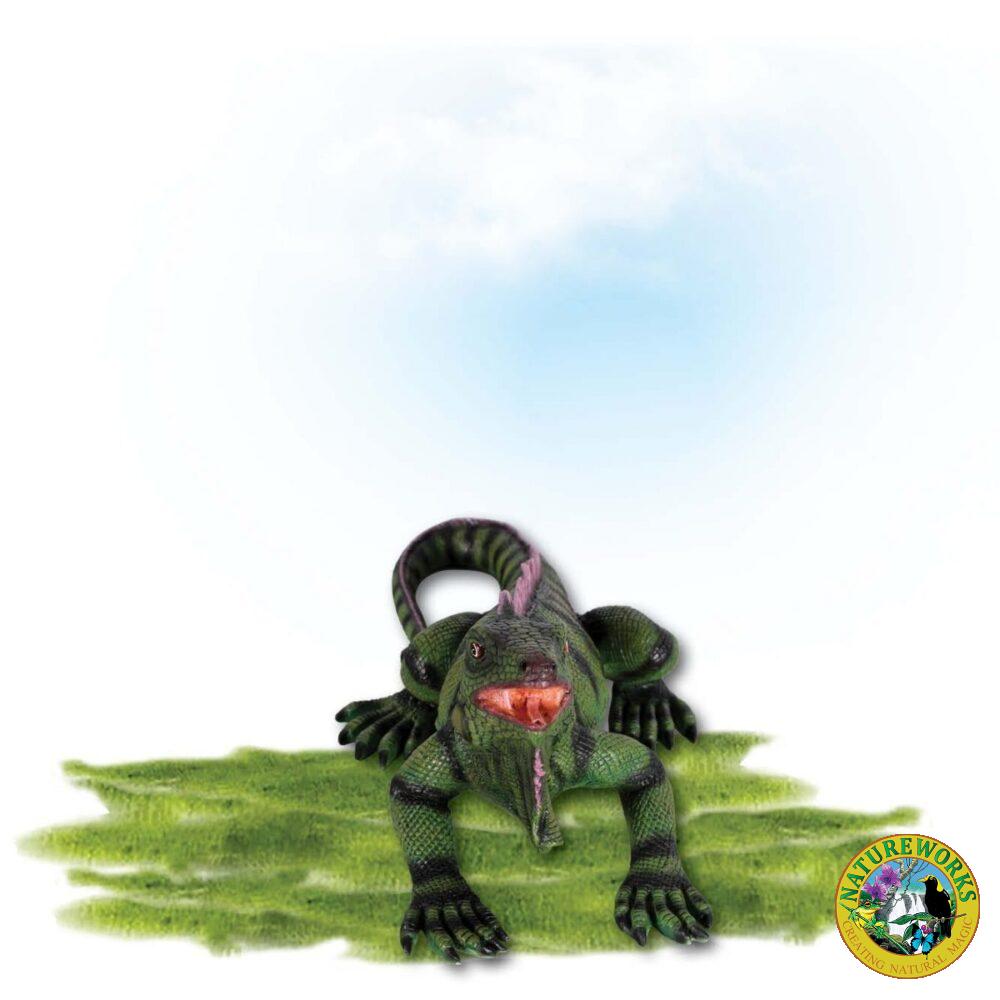 Animals Reptiles Lizards Iguana Small Product Image V px px