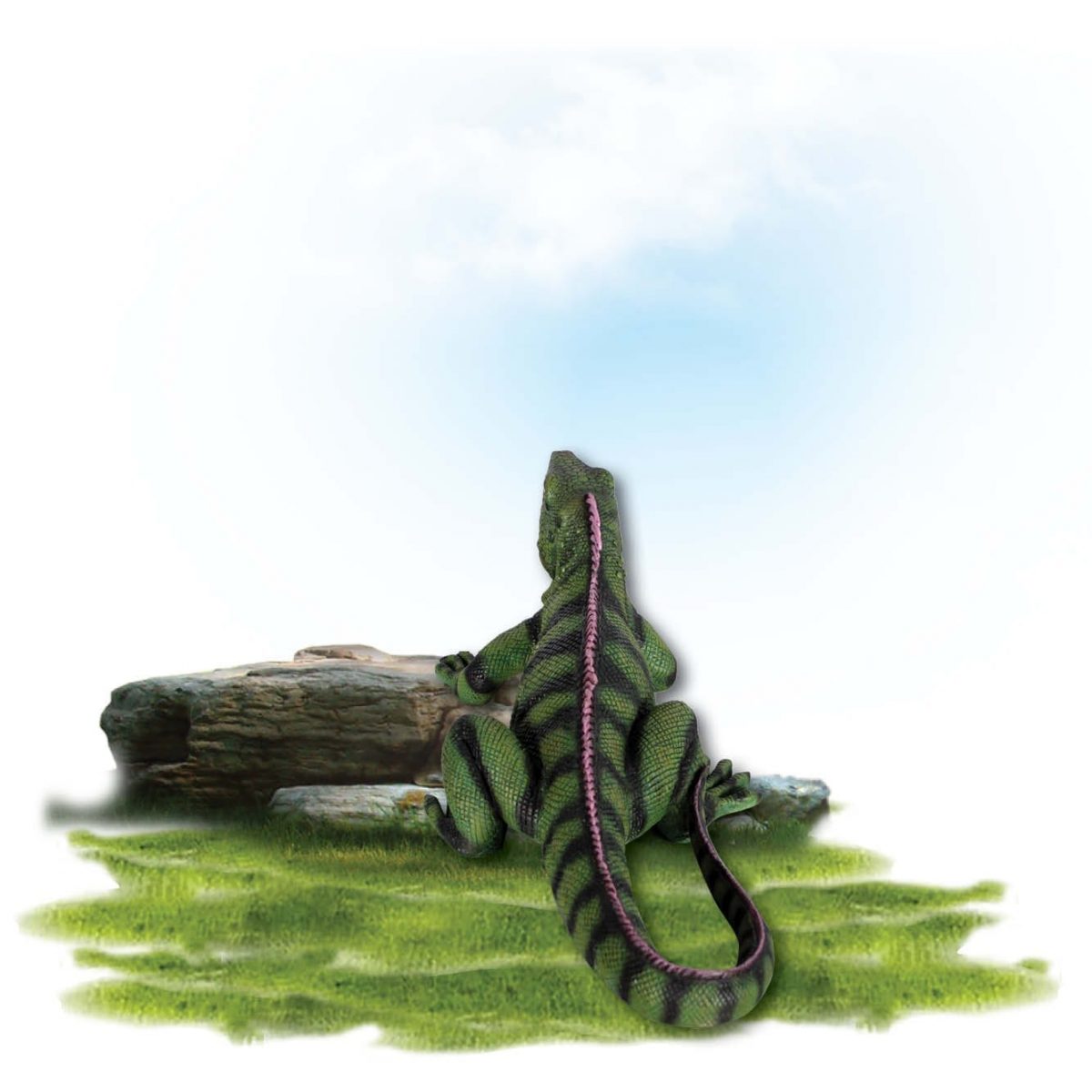 Natureworks Australia Animals Reptiles Lizards Iguana Small Product Image V px px