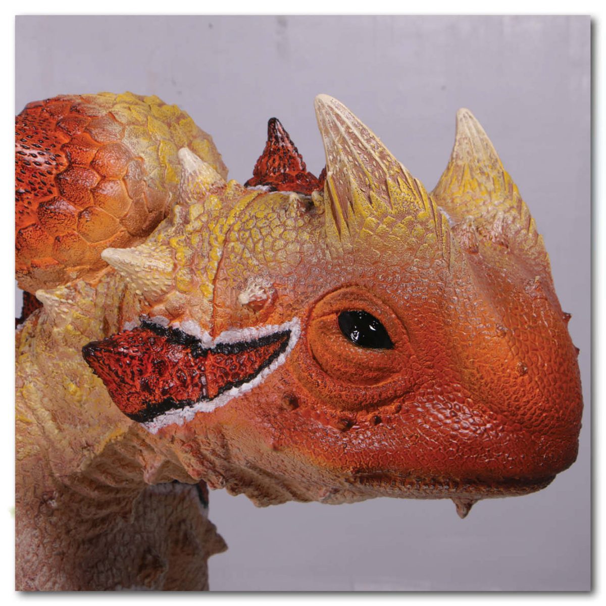 Natureworks Australia Animals Reptiles Lizards Thorny Devil no Base Product Image V px px