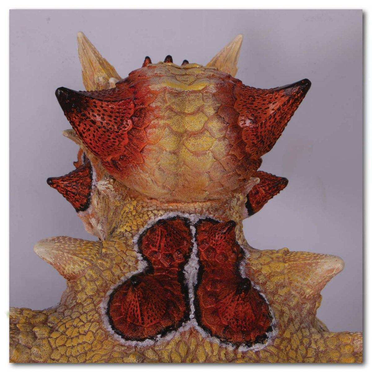 Natureworks Australia Animals Reptiles Lizards Thorny Devil no Base Product Image V px px