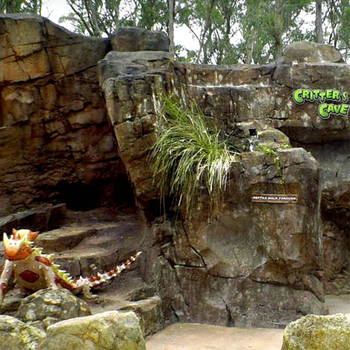 Natureworks Australia Thorny Devil - without base - SKU 130012 - shown on display at Gumbuya Reptiles park