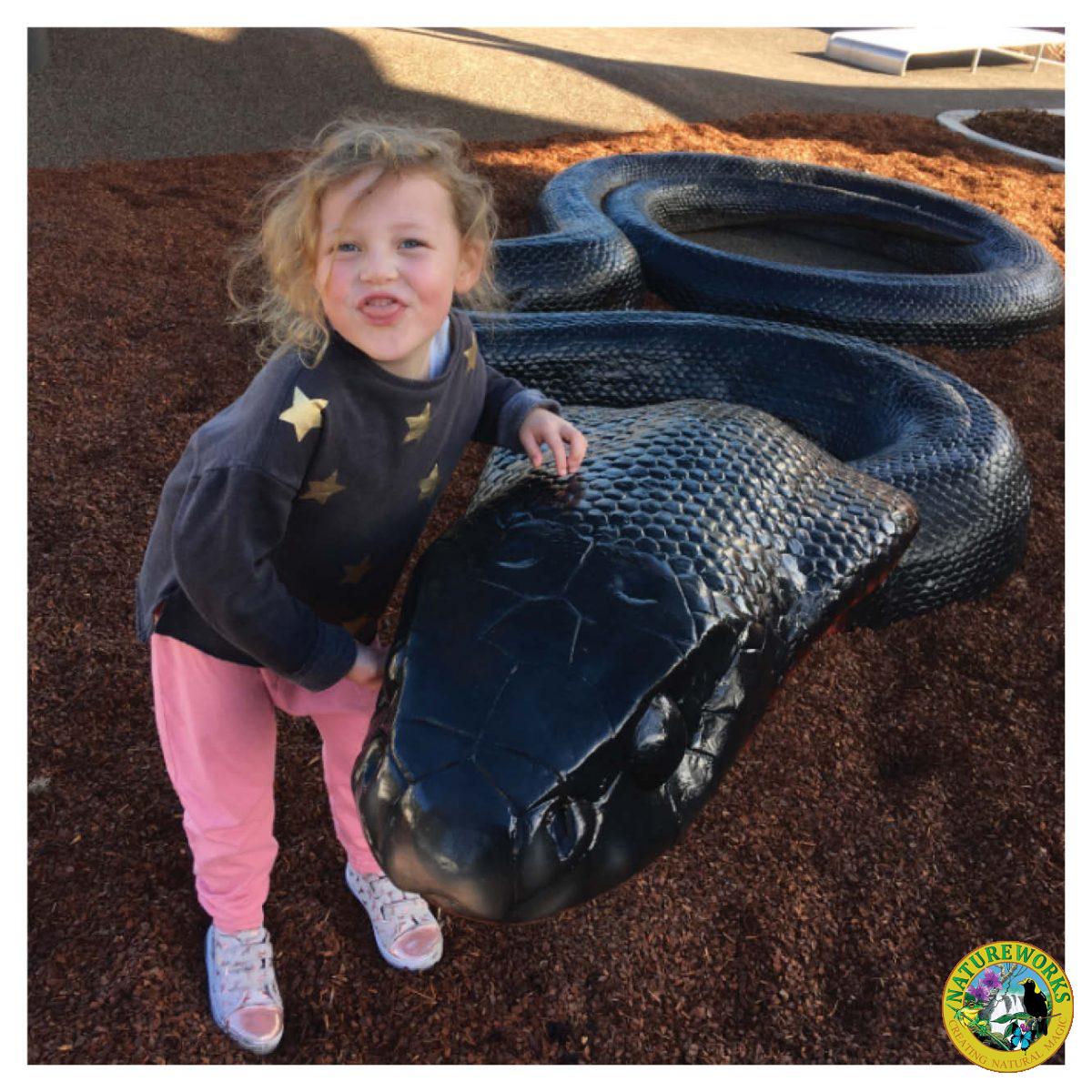 Natureworks Australia Animals Reptiles Snakes Red bellied black snake customer photo Product Image V px px