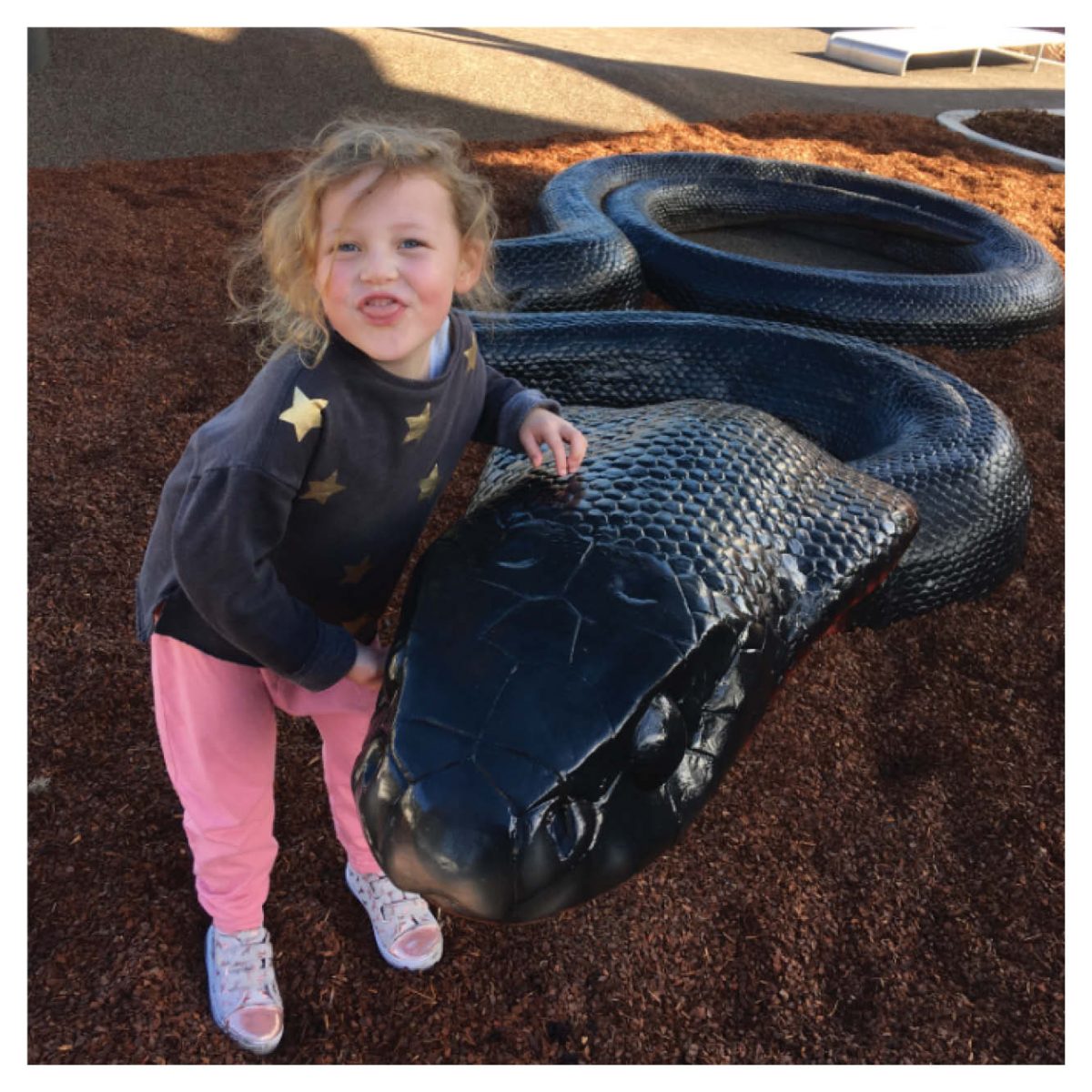 Natureworks Australia Animals Reptiles Snakes Red bellied black snake customer photo Product Image V px px