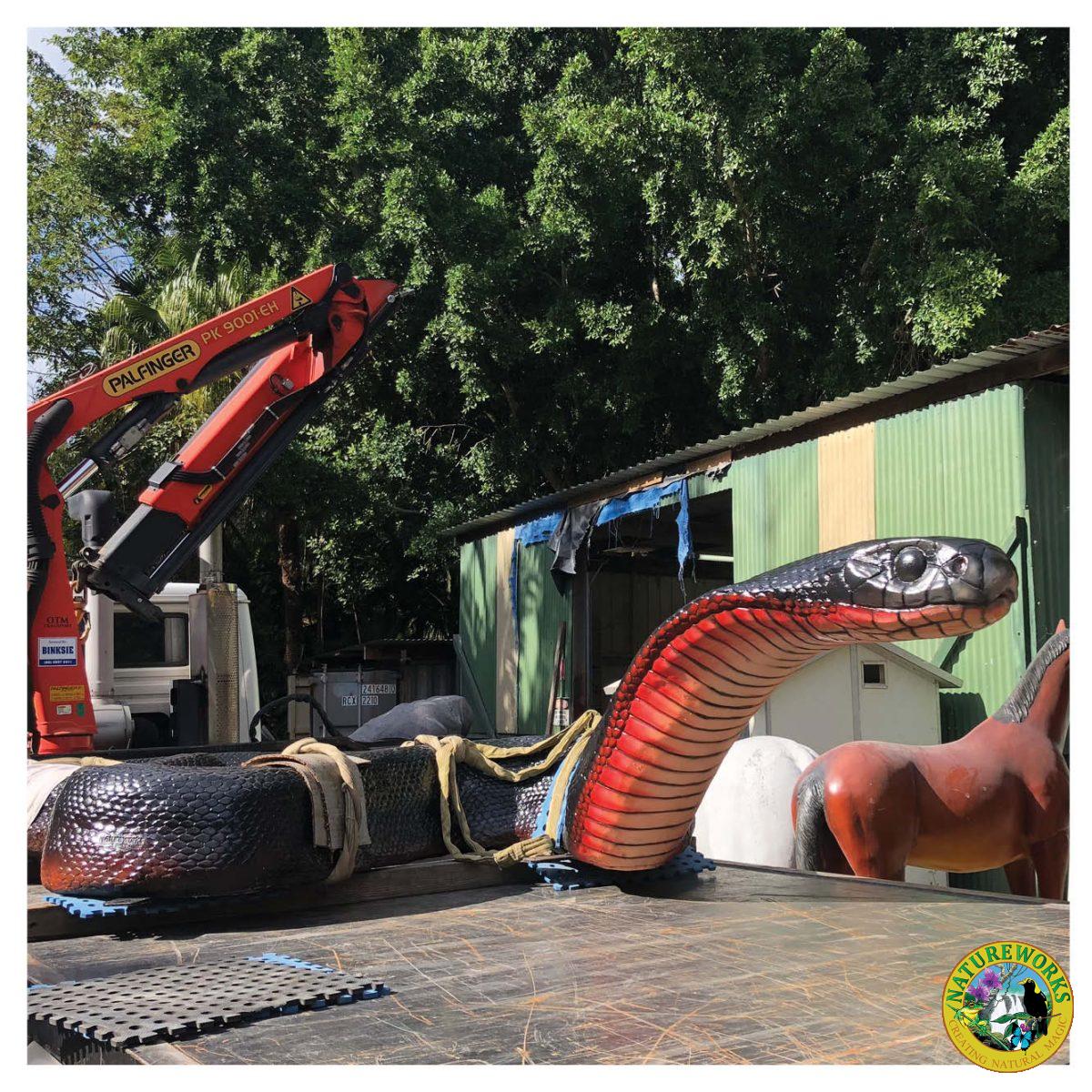 Natureworks Australia Animals Reptiles Snakes Red bellied black snake customer photo Product Image V px px