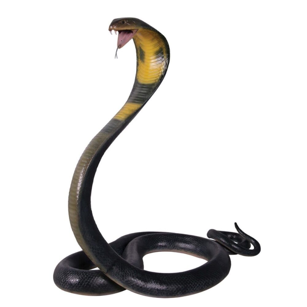 Animals Reptiles Snakes King Cobra Image V px px