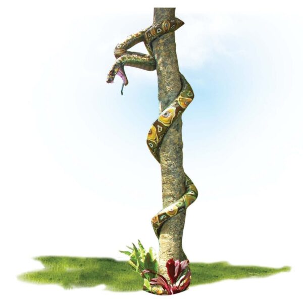 Animals Reptiles Snakes Montypythonoides Riversleighensis on a tree trunk Product Image V px px