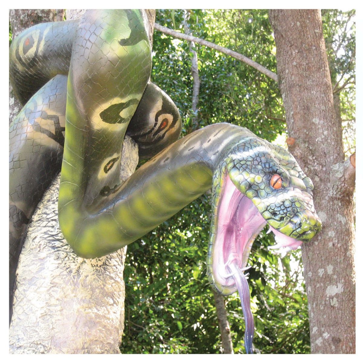 Natureworks Australia Python