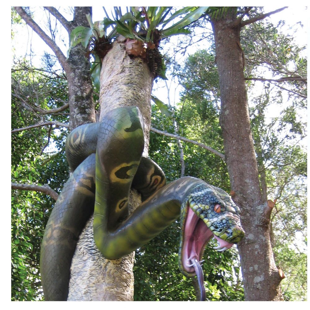 Python on tree trunk
