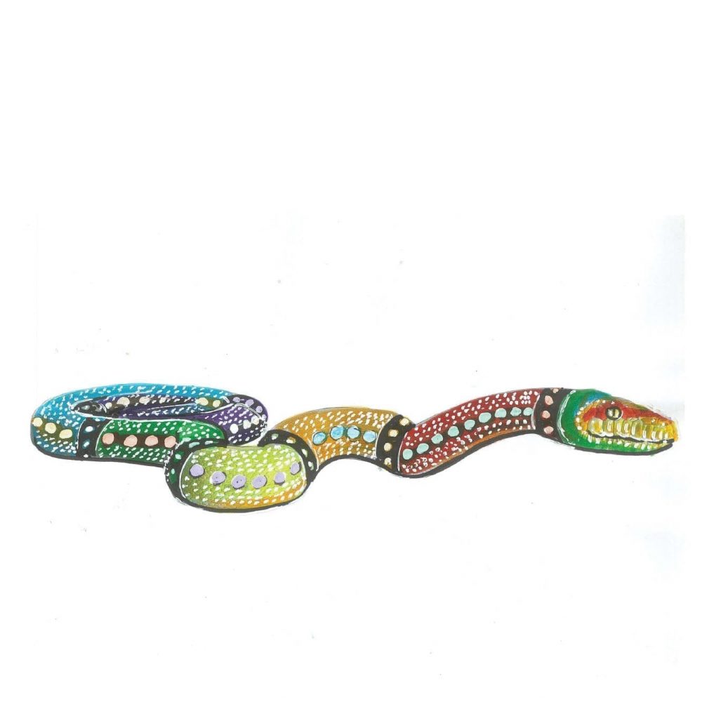 Animals Reptiles Snakes Rainbow Serpent concept Image V px px