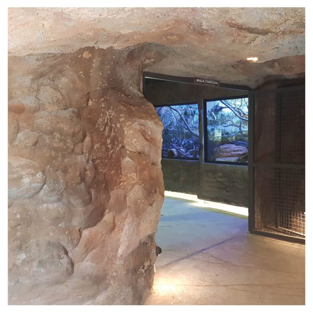Artificial Rocks Caves Gumbuya Critters Cave Inside View