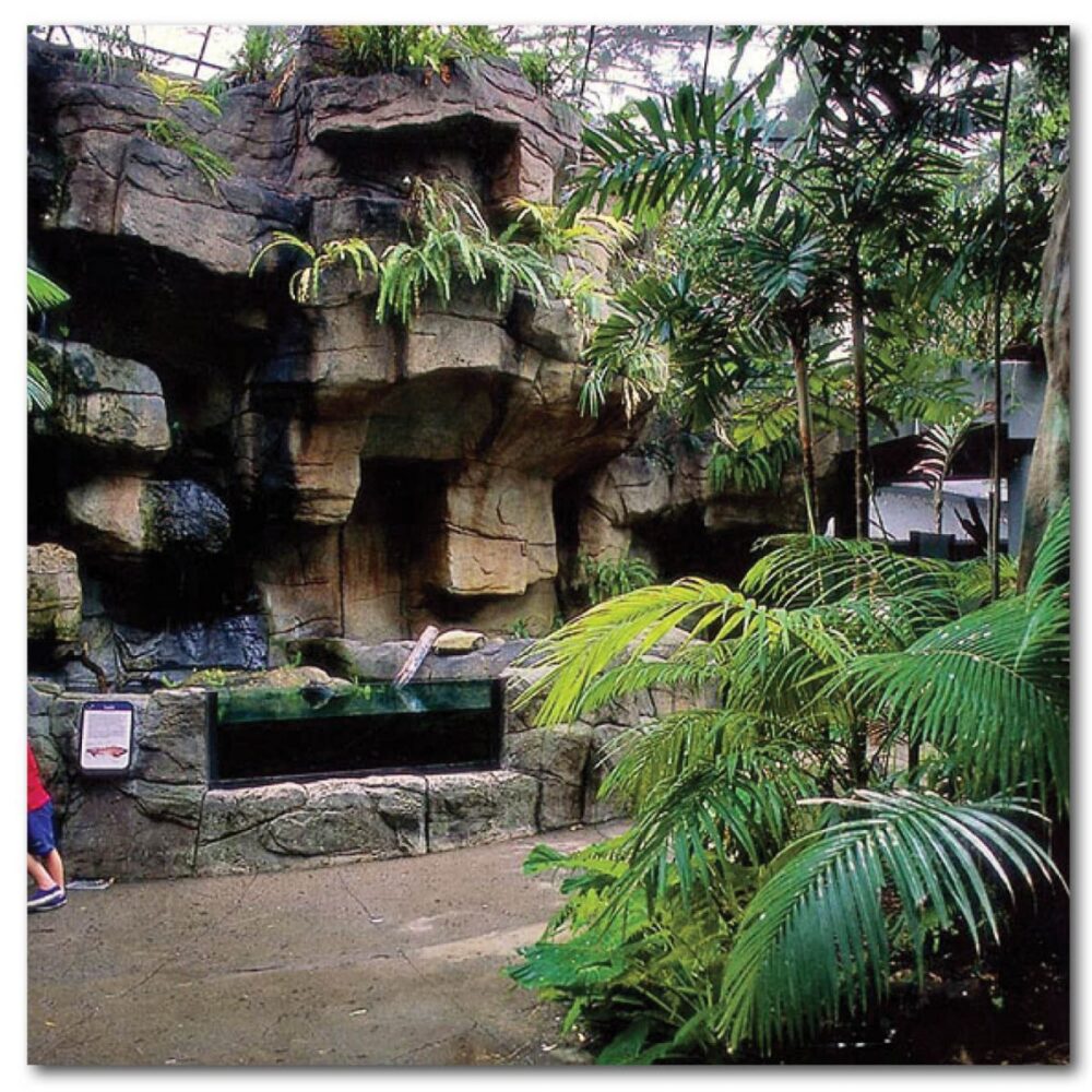 Custom Rockwork & Caves