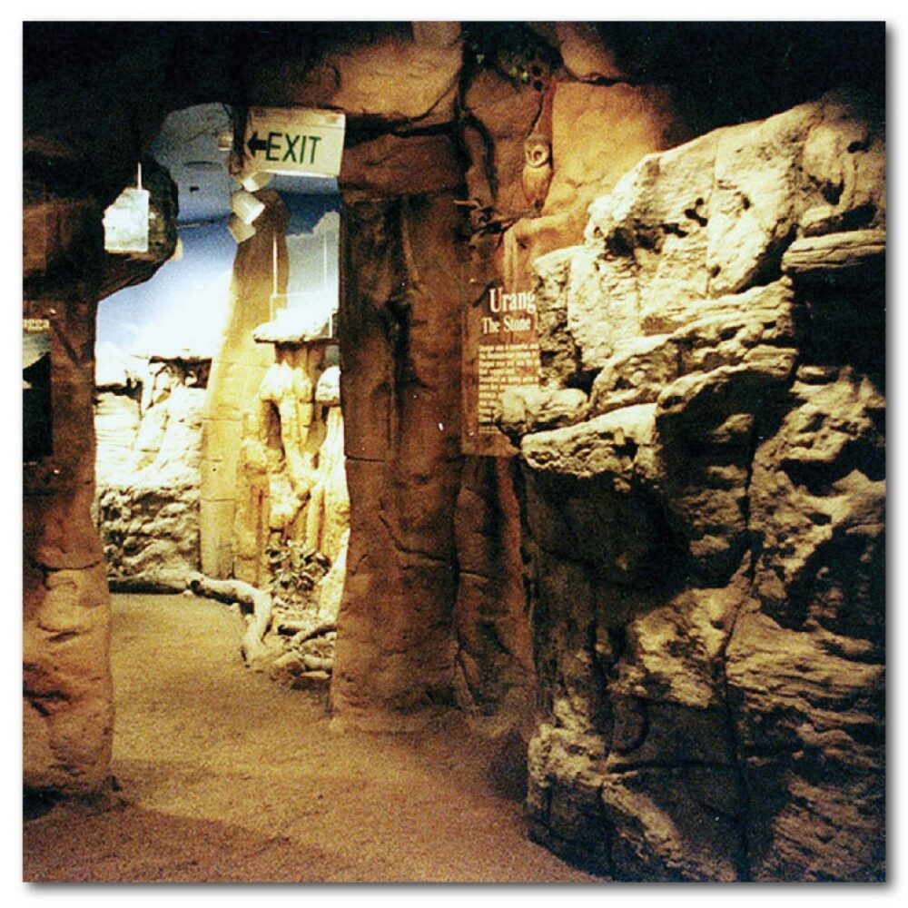 Artificial Rockwork Concrete Rockwork Dreamtime Cultural Centre Rockhampton facade Product Image  px px