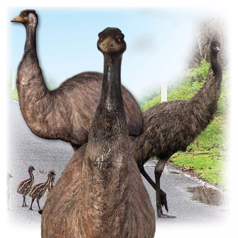 Ground Dwelling Birds