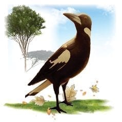 LargerThanLife SizeBirds