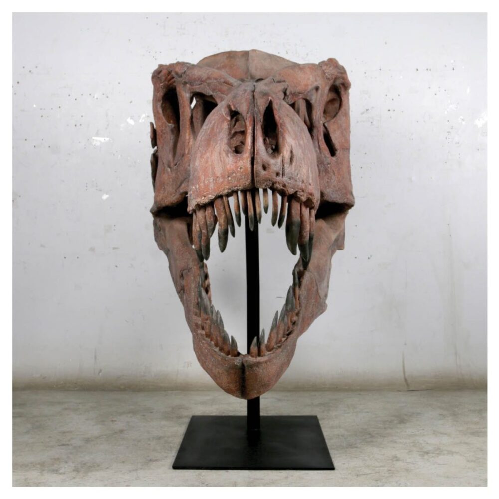Dinosaur Prehistoric Prehistoric Fossils bones Giant T Rex Skull Product Gallery  px px