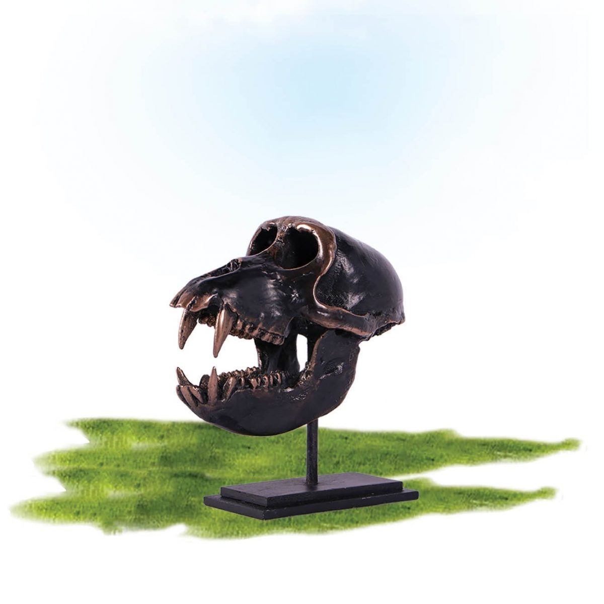 Natureworks Australia Dinosaur Prehistoric Prehistoric Fossils bones Macaque Skull on base Product Gallery px px