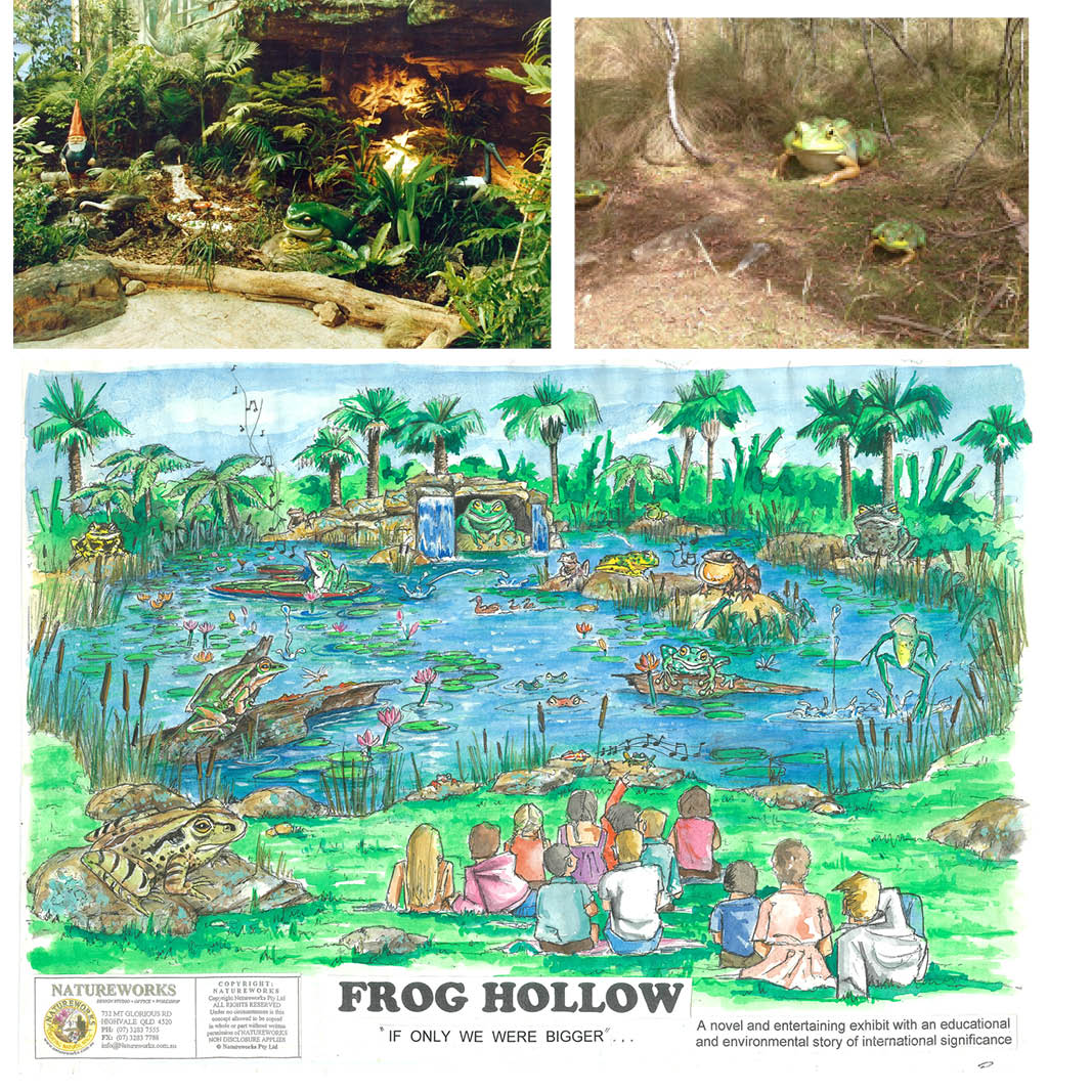 Natureworks Australia Frog hollow concept art