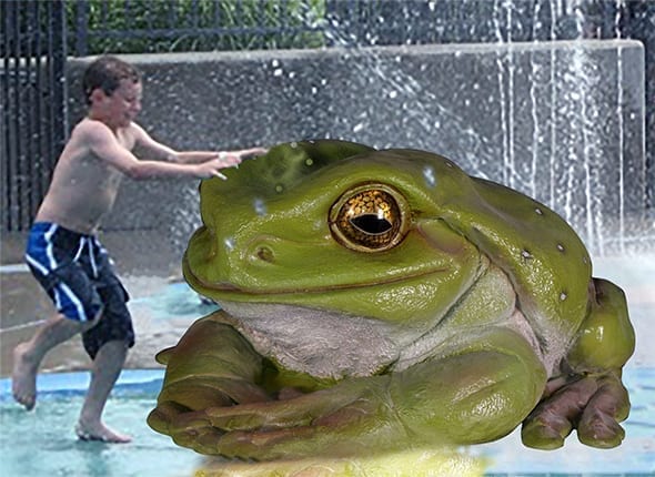 Natureworks Australia GiantFrog Waterplayfeature