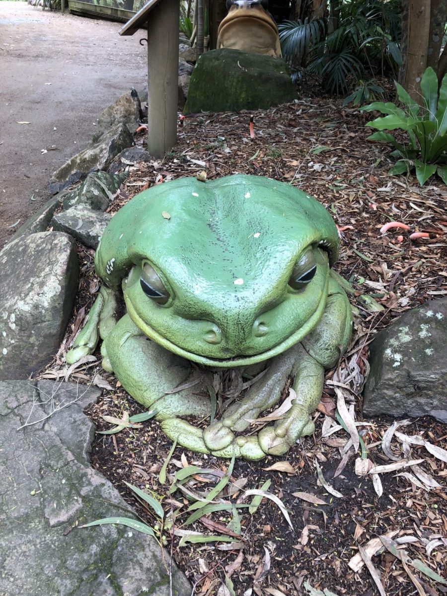 Natureworks Australia GreenTreeFrog GiantReplica