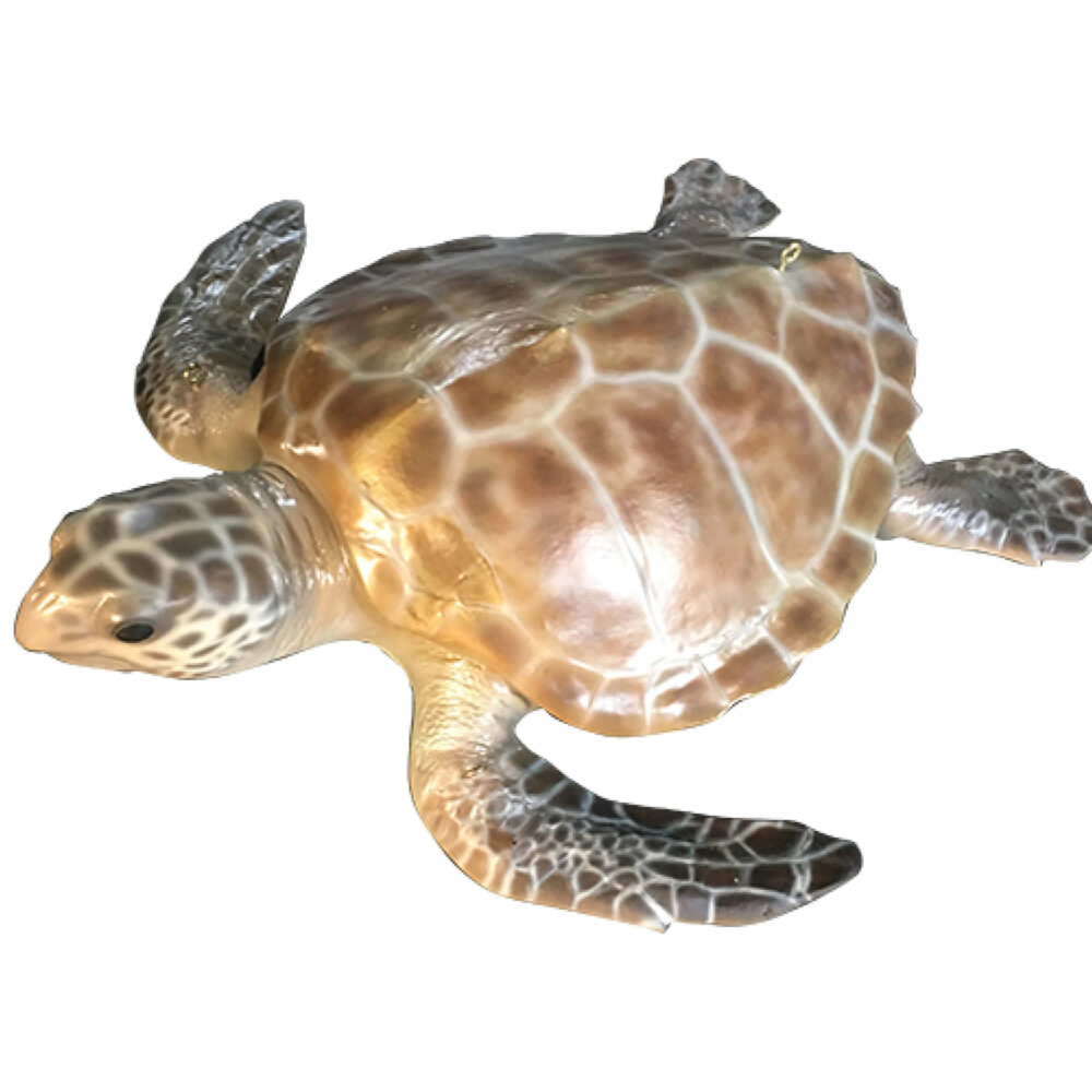 Hawksbill Turtle - realistic Museum quality sculpture - for museums.- showing top angle view