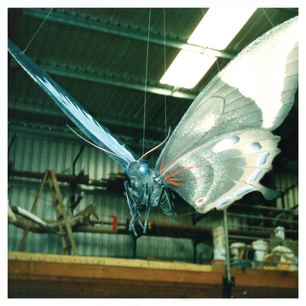 BirdwingButterfly GiantHanging