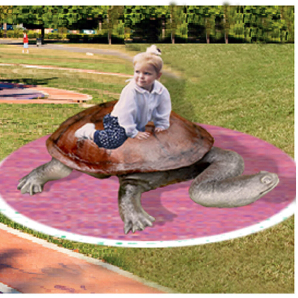 Long Necked turtle - shown in playground - climb & Play