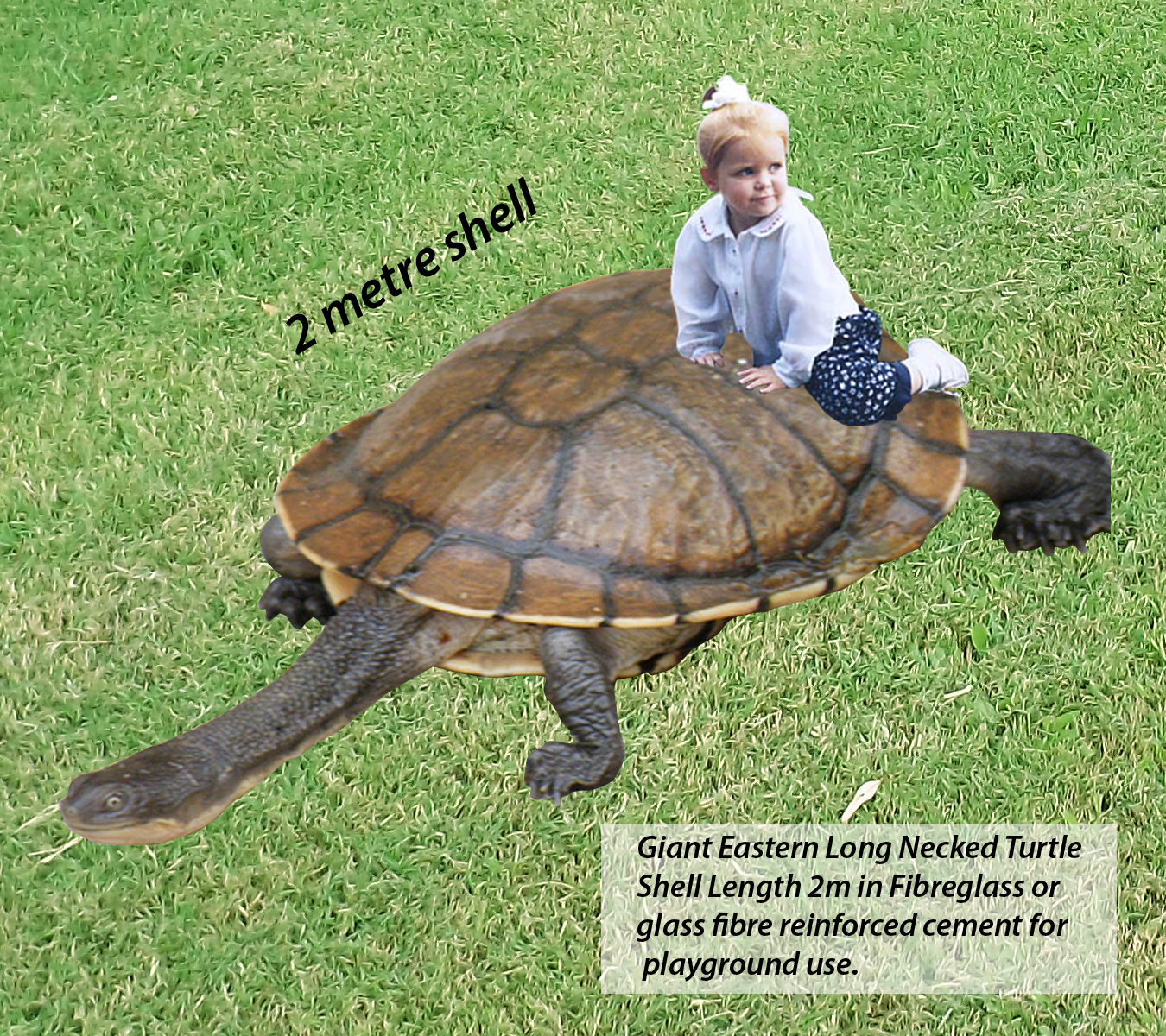 Natureworks Australia Natureworks custom 2metre long - long necked turtle - playground climb & play - get in touch if you need more information